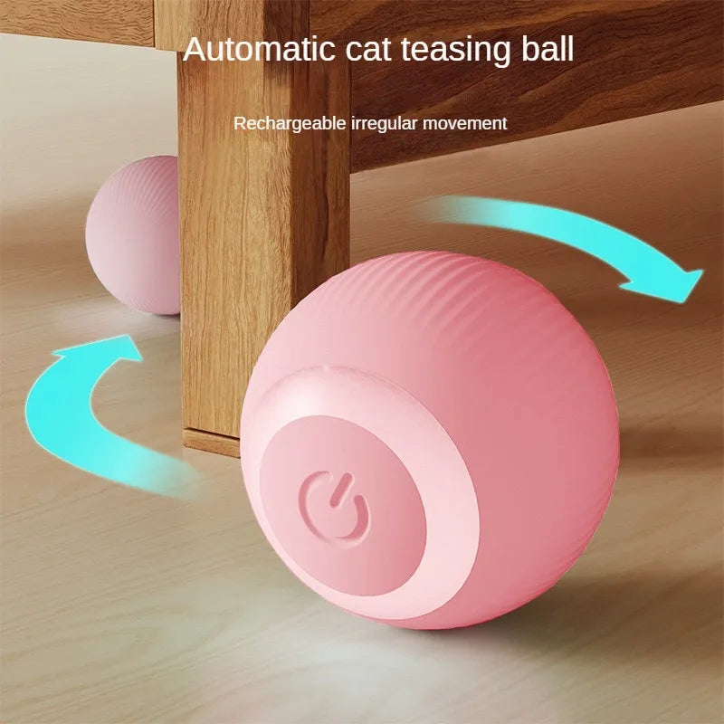 Smart Cat Rolling Ball