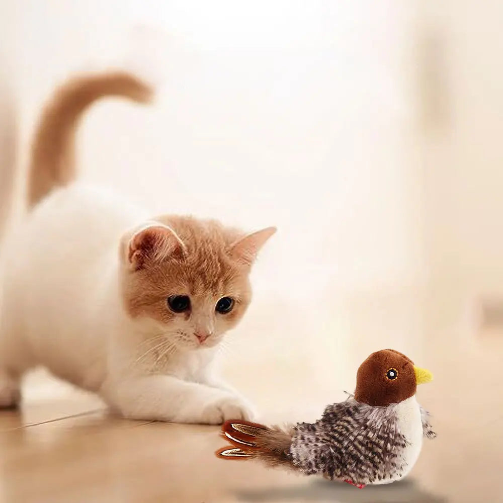 Interactive Cat Toys