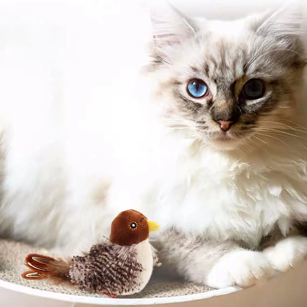 Interactive Cat Toys