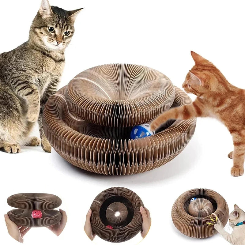 Meow Scratch Round