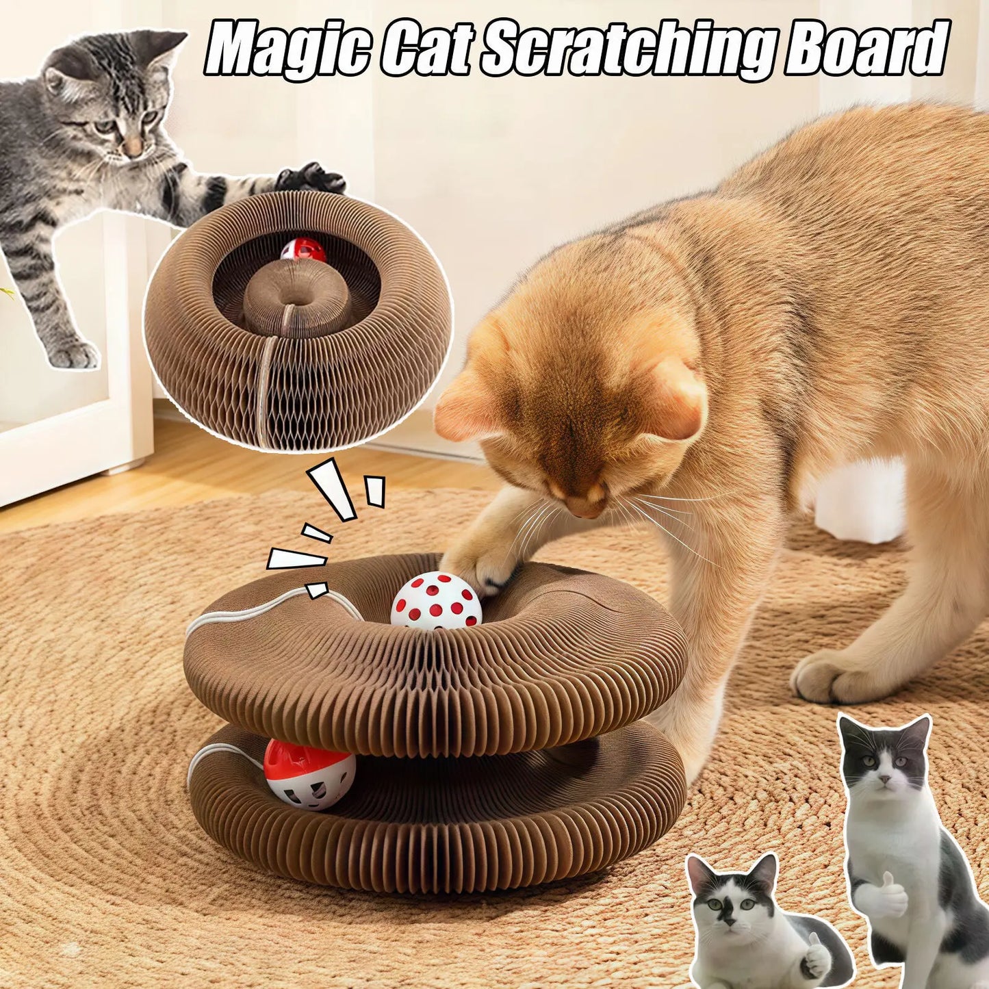 Meow Scratch Round